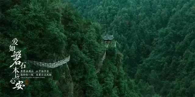 投篮得高分